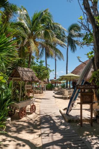 Colibrí Beach, Playa del Carmen