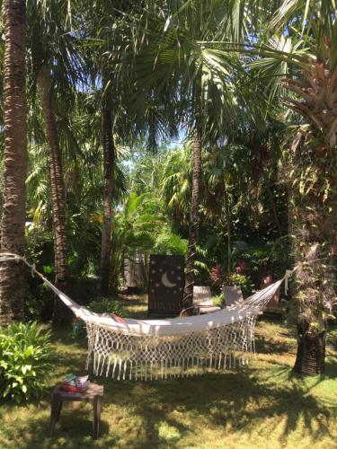Lunata, Playa del Carmen