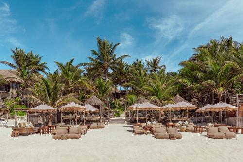 Dos Ceibas Eco Retreat, Tulum