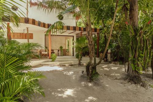 Dos Ceibas Eco Retreat, Tulum