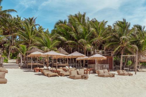 Dos Ceibas Eco Retreat, Tulum