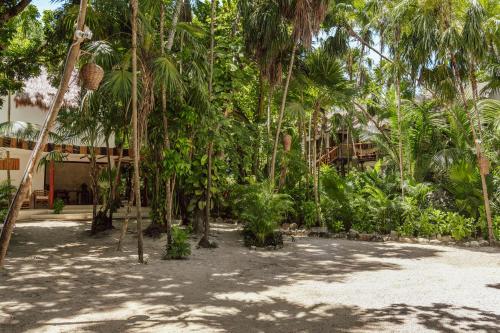 Dos Ceibas Eco Retreat, Tulum