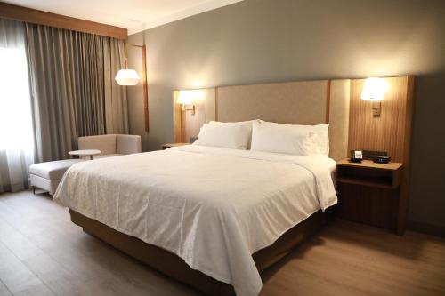 Holiday Inn Durango, Durango