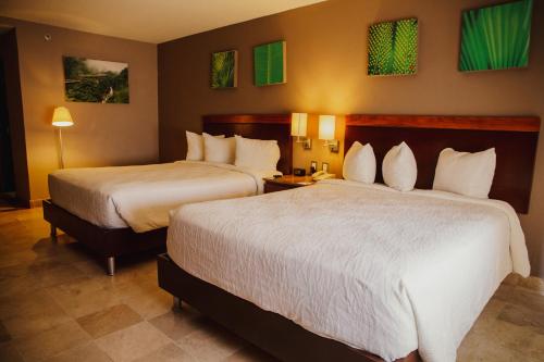 Hilton Garden Inn Boca del Río, Veracruz