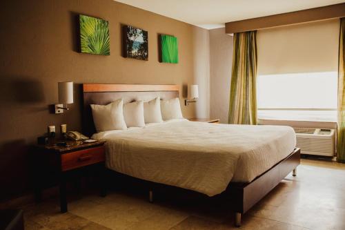 Hilton Garden Inn Boca del Río, Veracruz
