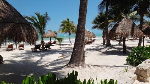 Amaité, Holbox