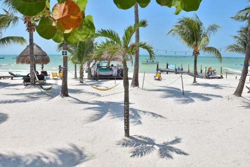 Amaité, Holbox