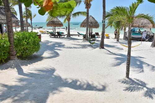 Amaité, Holbox