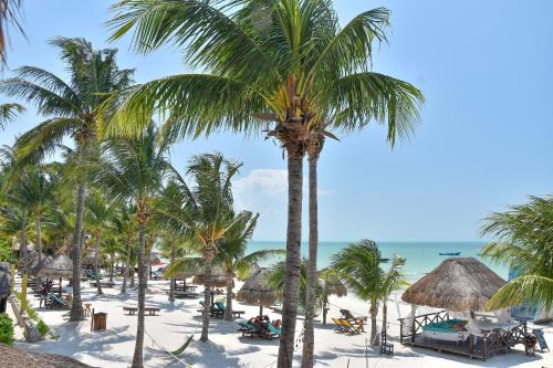 Amaité, Holbox