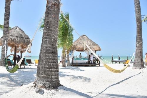 Amaité, Holbox