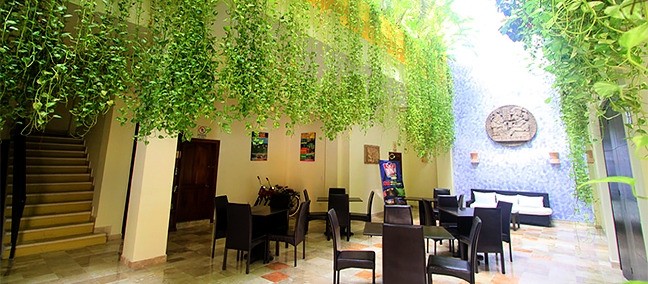 Los Itzaes, Playa del Carmen