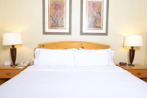 Holiday Inn Express Silao Aeropuerto Bajío, Silao