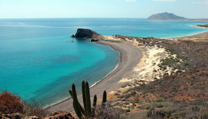 What to do in Los Cabos, Cabo Pulmo