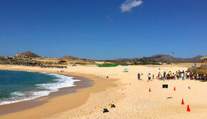 What to do in Los Cabos, Mexico