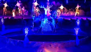 What to do in Los Cabos, Wirikuta