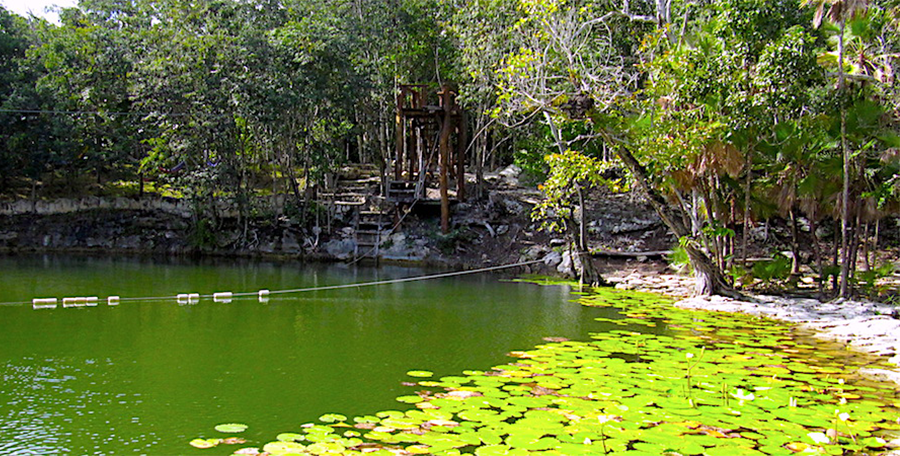 Cenote Las Mojarra, Puerto Morelos