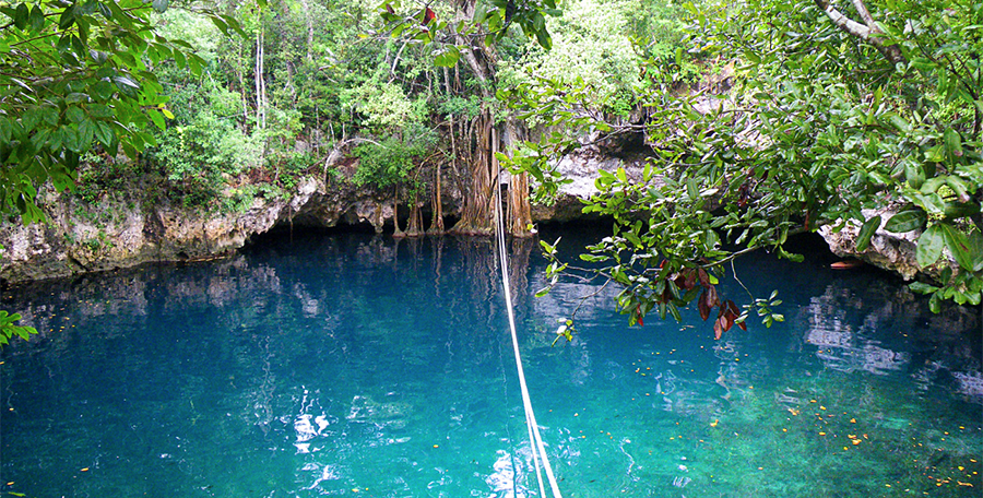 Cenote Verde Lucero, Puerto Morelos