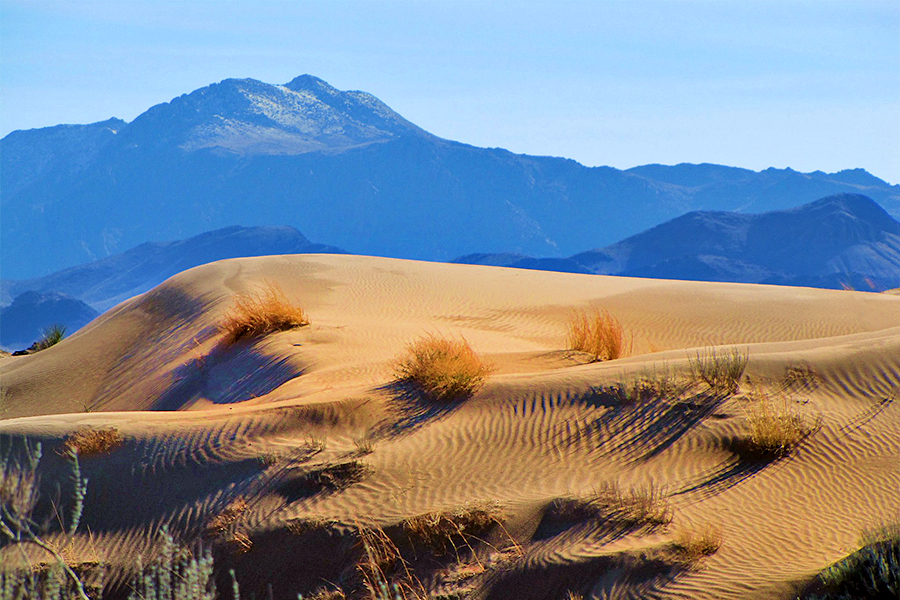 Dunas de Samalayuca, Qué Hacer en Ciudad Juárez