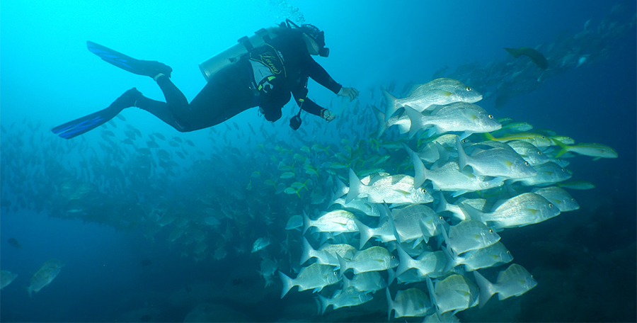 Las 6 maravillas de Los Cabos, Baja California Sur